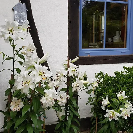 Romantica In Fuer 2 Personen 펜션 브루티크판켈