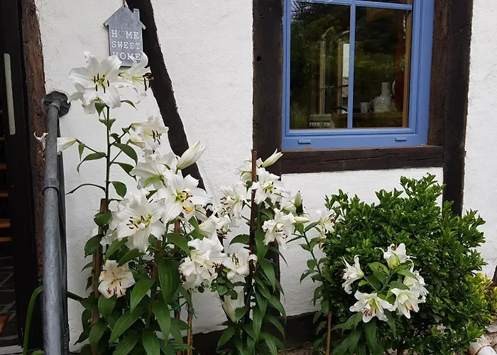 Romantica In Fuer 2 Personen Holiday home Bruttig-Fankel